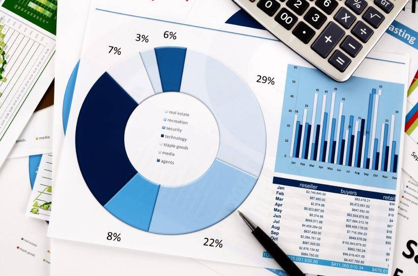 Software-audit