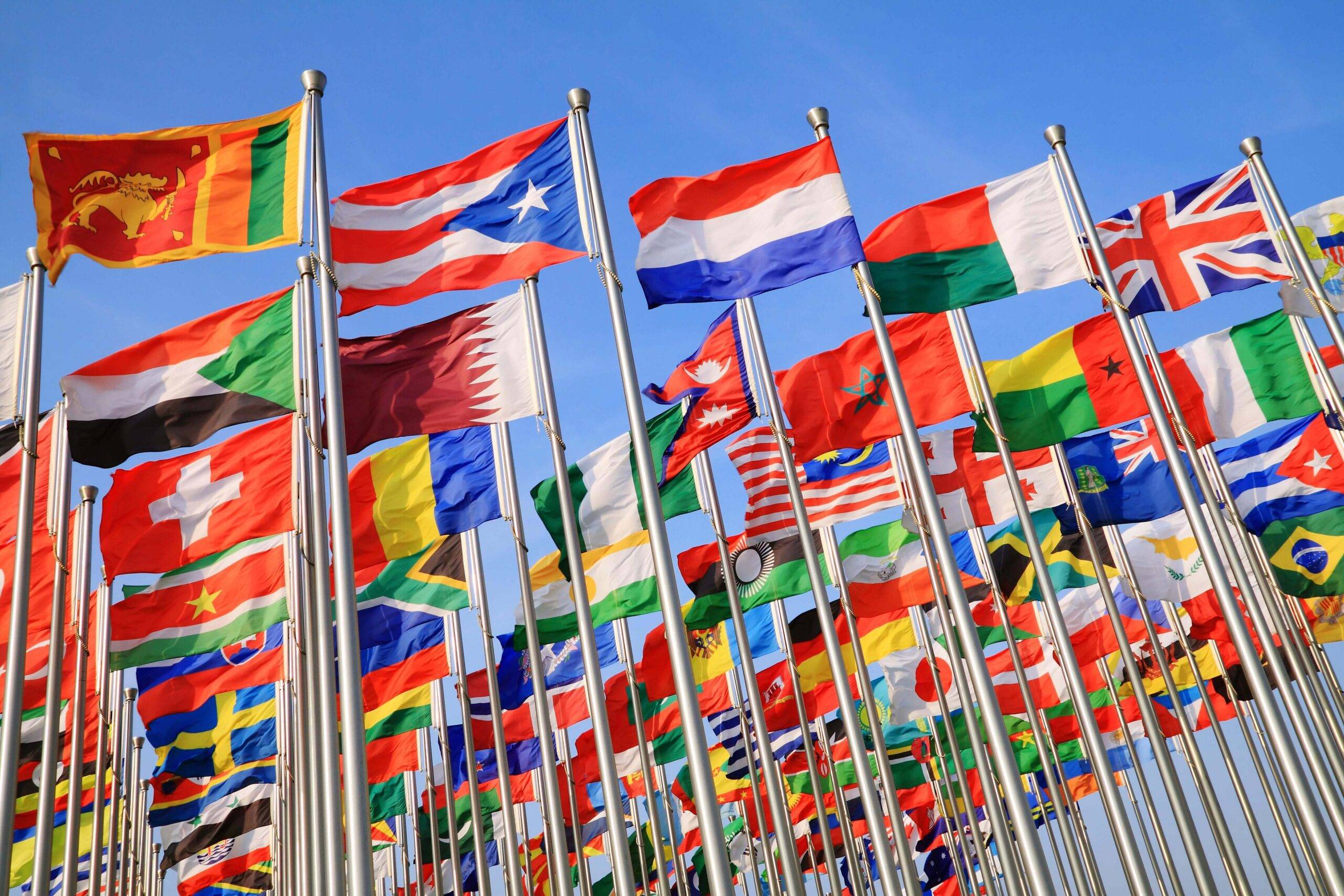 The global reach of 1E skills
