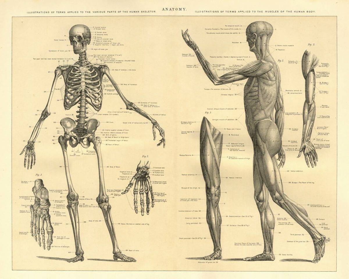 The anatomy of certificates