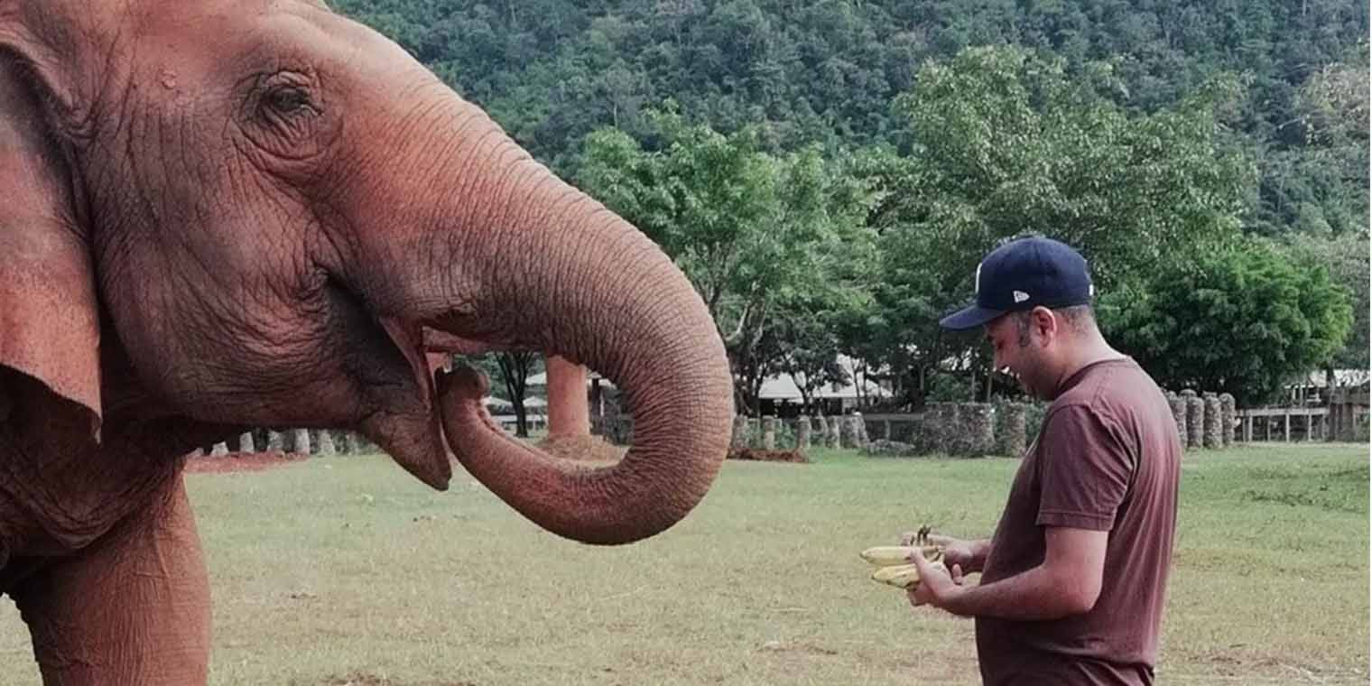 Walking with the elephants: 1E charity sabbatical