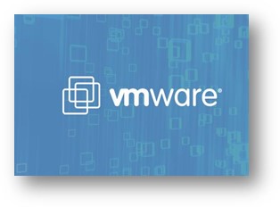 VMWare module is designed to help our customers reduce their spend on VMWare software maintenance