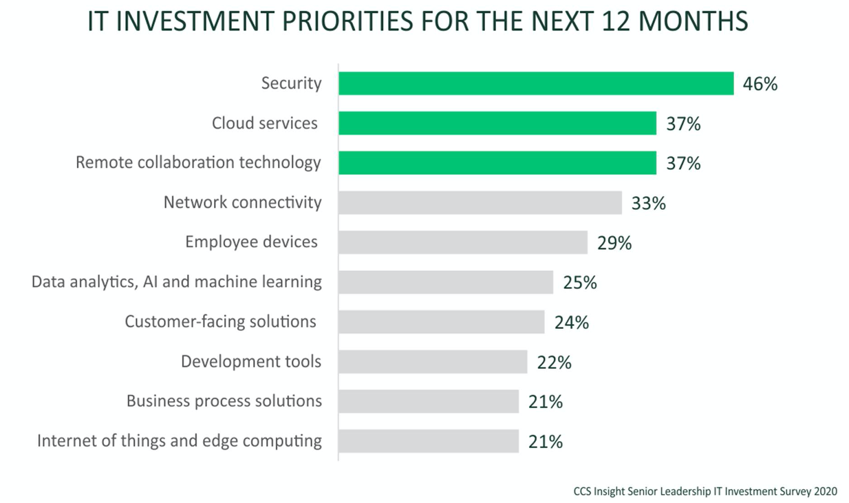 IT investment priorities for the next 12 months